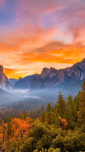 Beautiful Colorful Fall Autumn Trees In Rock Mountains Background During Sunset Nature, HD phone wallpaper