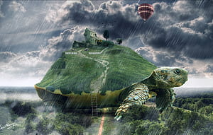 Turtle Art, HD wallpaper