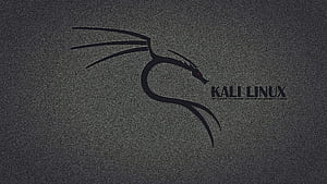 Kali Linux, Kali Linux Logo, HD wallpaper