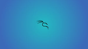 Kali Linux Blue, HD wallpaper