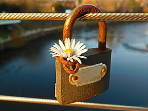 Padlock Rust Security, HD wallpaper