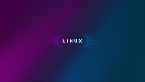 Linux Purple 10k, linux, computer, deviantart, HD wallpaper