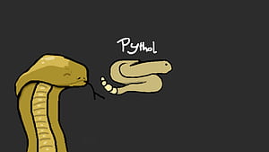 PytholThemeBetterDiscord, snake, Animal, python, HD wallpaper