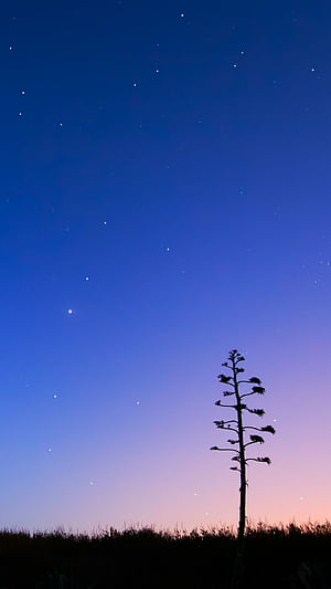 Sky Android, HD phone wallpaper