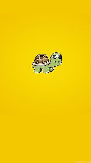 Cool Turtle, HD phone wallpaper