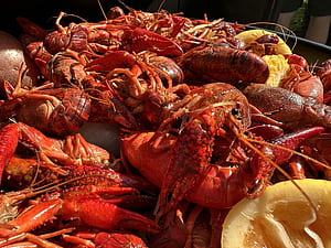 best crawfish in New Orleans, HD wallpaper