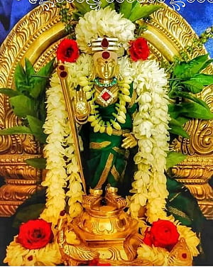 Murga, HD phone wallpaper