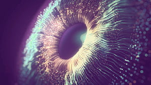 Setup Virtual Development Environment, Virtual Machine, HD wallpaper