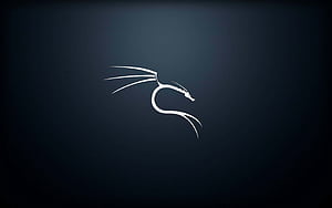 Linux: Kali Linux., Kali Linux Blue, HD wallpaper