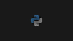 Python Developer , Python Developer Background on Bat, Black Python, HD wallpaper