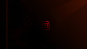 Technology, Linux Mint, HD wallpaper