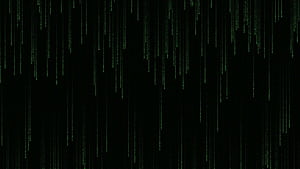 Coding Vertical Matrix, Minimalist Matrix, HD wallpaper