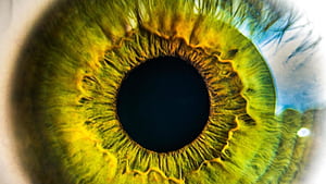 Optometry, HD wallpaper