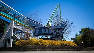 Carowinds Ride Named World’s Best Steel Roller Coaster For 9th Straight Year, HD wallpaper