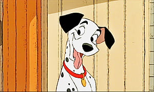 Pongo, HD wallpaper