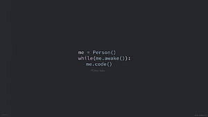 Programming Codes In Black, Dark Programmer, HD wallpaper