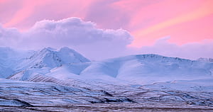 New Zealand Winter Landscapes Tour Days. Multi Day Tours & Packages, HD wallpaper