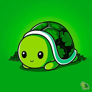 Cool Turtle, HD phone wallpaper