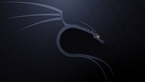 Kali Linux NetHunter Linux Kali Linux, HD wallpaper