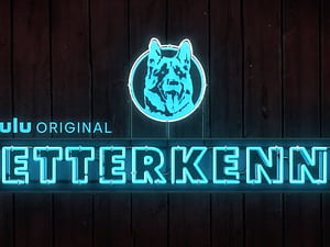 Letterkenny Cast Looks Back at Six Years and Nine Seasons, HD wallpaper
