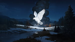 White Dove Wings Of Peace, white, bird, trees, night, artist, artwork, art, digital-art, ai, deviantart, HD wallpaper