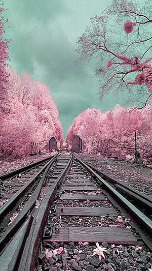 Train Spring, HD phone wallpaper
