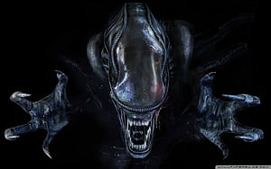 Alien Face, HD wallpaper