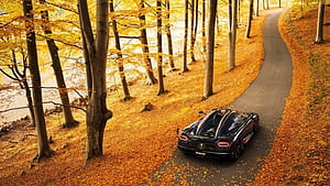 View From the Back of the Car, Car With Nature, HD wallpaper