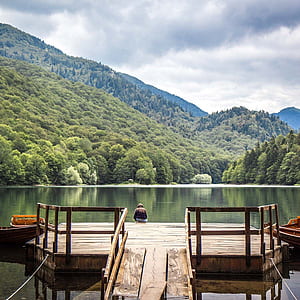 Biogradska Gora National Park, Montenegro, HD phone wallpaper