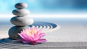 Self Development, HD wallpaper