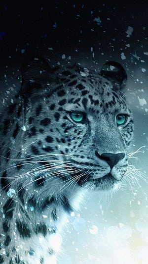 Leopard iPhone, HD phone wallpaper