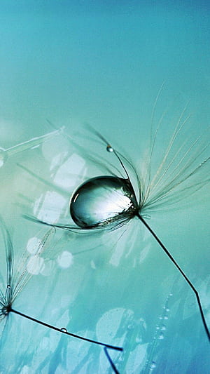 High Resolution Android, HD phone wallpaper