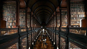 Library, Libraries, HD wallpaper