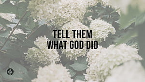 Tell Them What God Did. Audio Reading. Our Daily Bread Devotional. May 2024, HD wallpaper