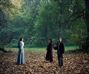 Poor Things, HD wallpaper