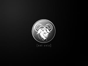 Gnu, GNU Linux, HD wallpaper