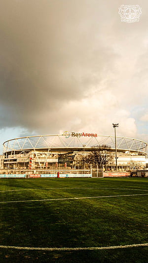 Oh it's #Wednesday!, Bayern Leverkusen, HD phone wallpaper