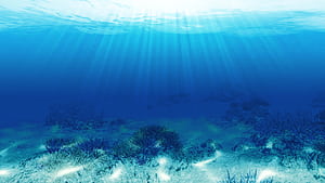 Endless Ocean, HD wallpaper