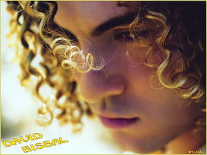 David Bisbal, HD wallpaper