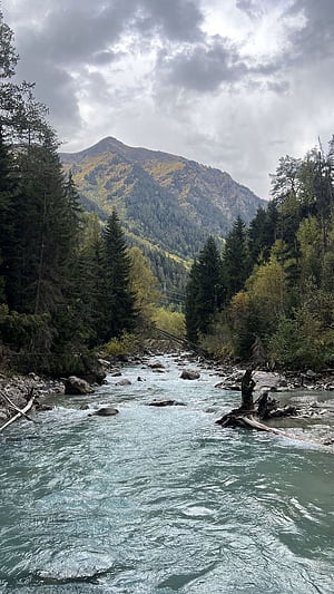 river, trees, forest, mountains, clouds, sky, landscape, nature, AI by user4101332. river, trees, forest, mountains, clouds, sky, landscape, nature for, HD phone wallpaper