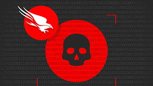 Roya News. How a faulty CrowdStrike update crippled global IT systems, HD wallpaper