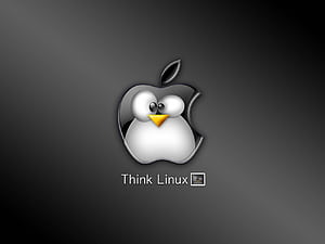 Linux, Linux White, HD wallpaper