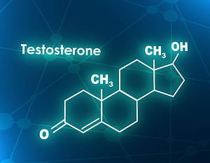 Testosterone, HD wallpaper