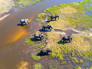 The Okavango Delta • Nature's Masterpiece • Botswana, HD wallpaper