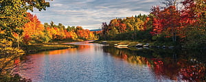 New England Fall Tours® New England, Fall In New England, HD wallpaper