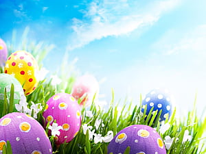 Cute Spring And Easter, HD wallpaper