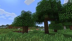 Minecraft Tree, HD wallpaper