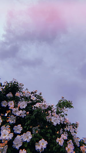 R r rd vlt r bl iPhone lights [] for your , Mobile & Tablet. Explore Pretty Aesthetic . Aesthetic , Aesthetic , Background Pretty, HD phone wallpaper