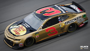 Austin Dillon, HD wallpaper