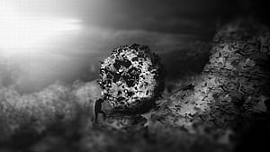 Existentialism, HD wallpaper